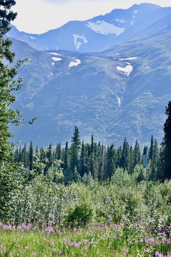 The Perch Resort Denali Park Exterior foto