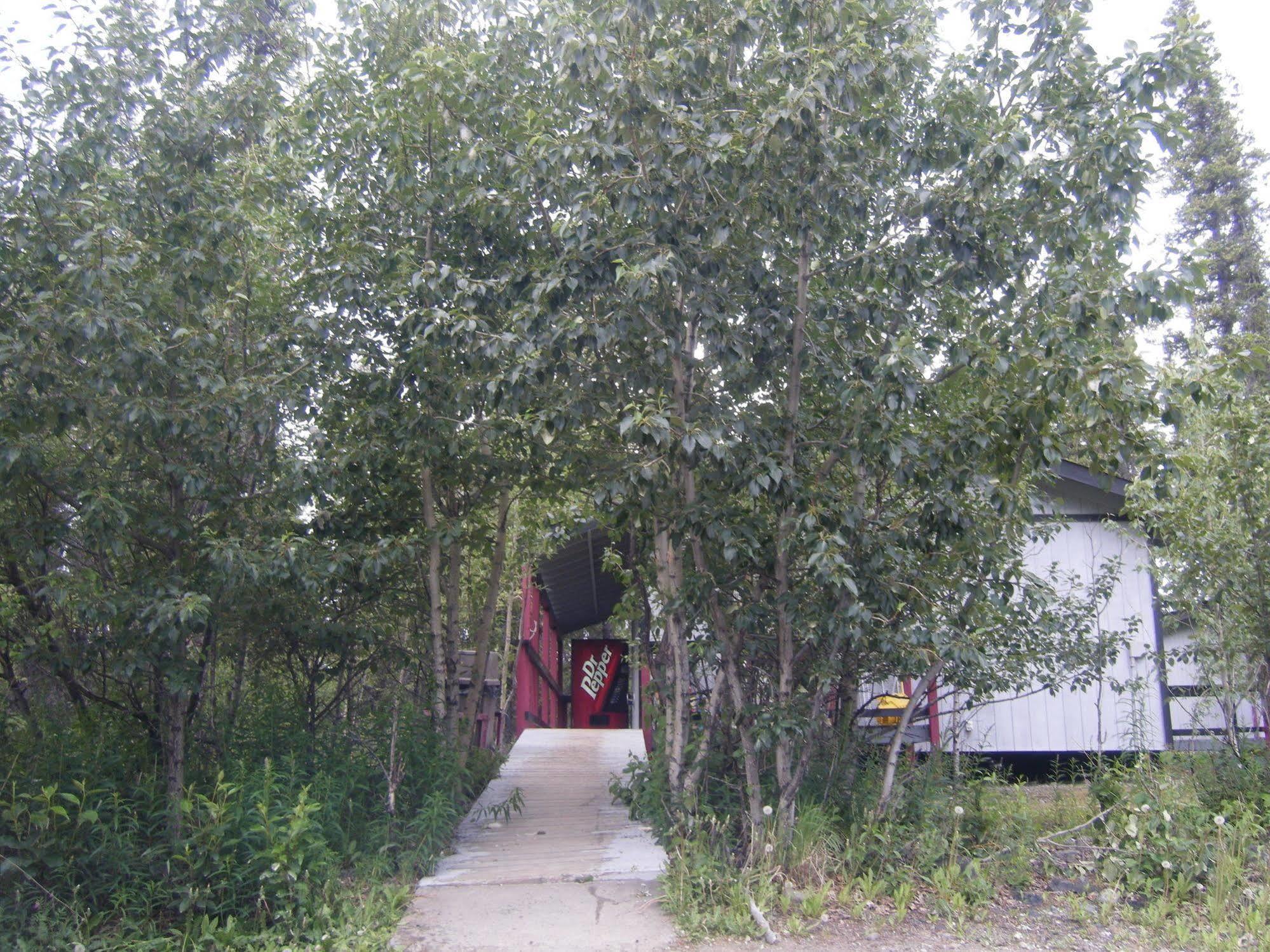 The Perch Resort Denali Park Exterior foto