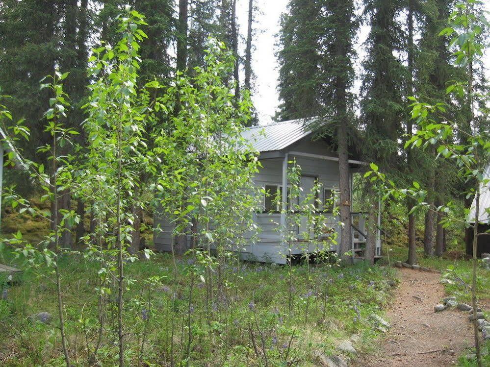 The Perch Resort Denali Park Exterior foto