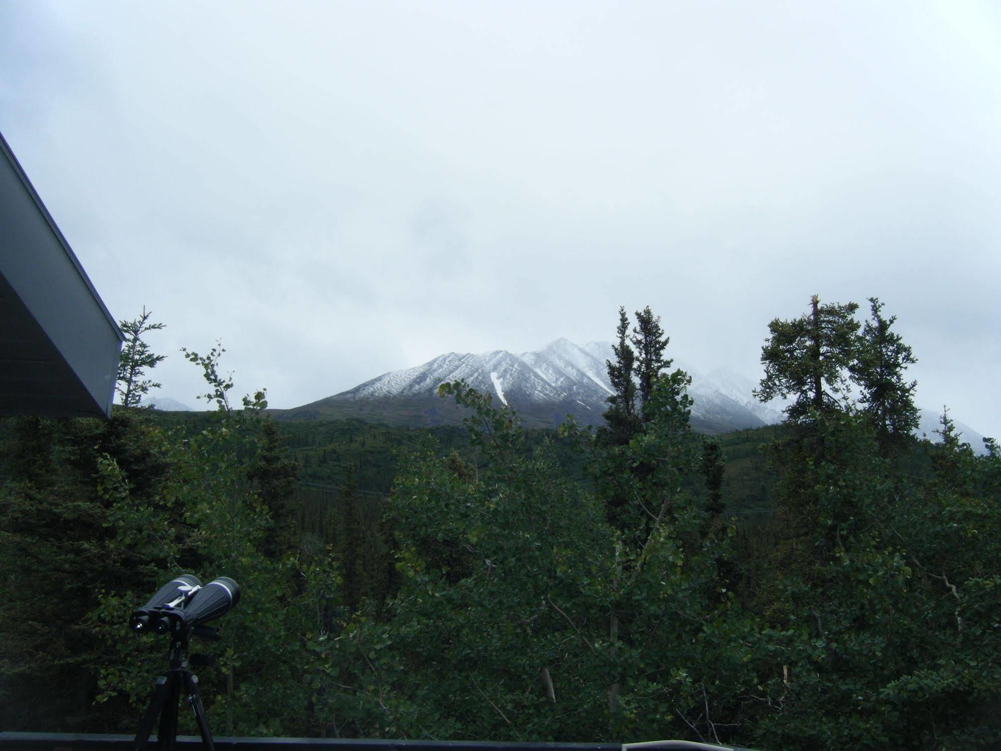 The Perch Resort Denali Park Exterior foto